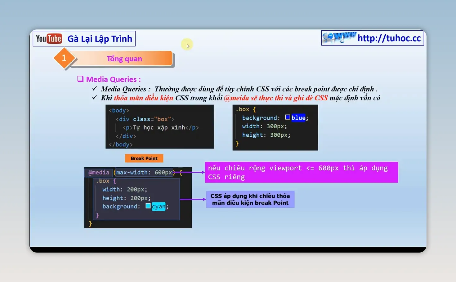 Media Queries: Thiết kế website responsive hiệu quả